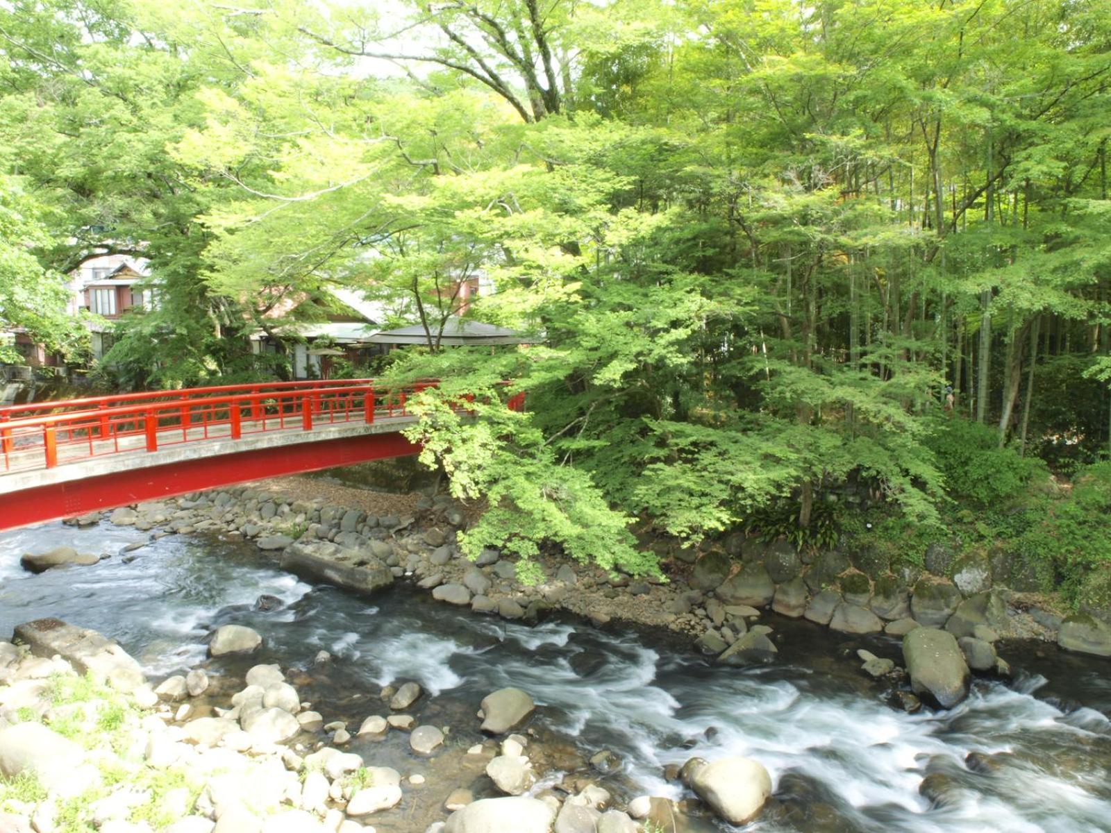 Arai Ryokan Hotel Shizuoka Ngoại thất bức ảnh